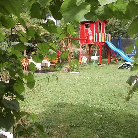 Forest Stream Visoko