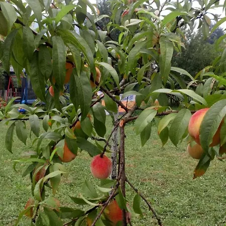 펜션 Forest Stream *