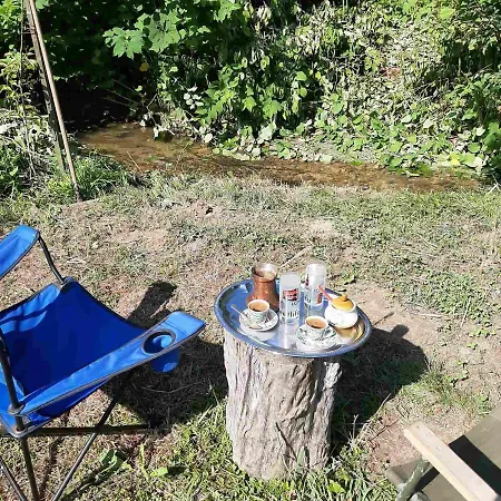 Forest Stream Dom wakacyjny