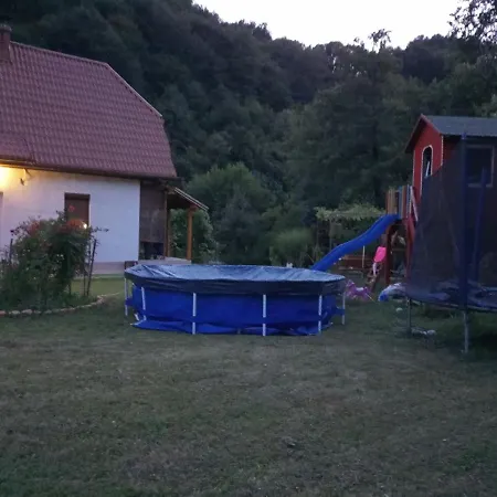 Forest Stream Holiday home