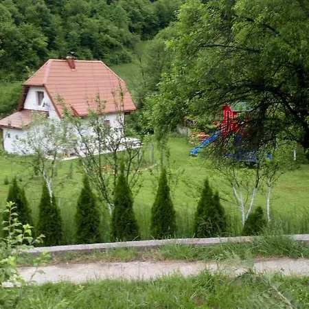 Forest Stream Visoko