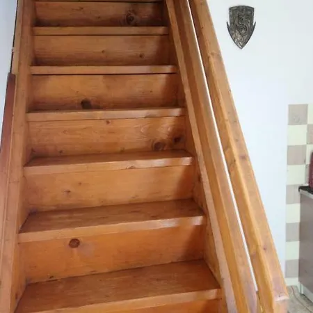 Forest Stream Visoko