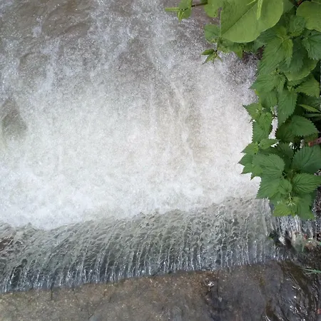 Forest Stream 펜션 *