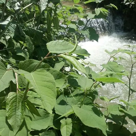 Forest Stream Ferienhaus Visoko