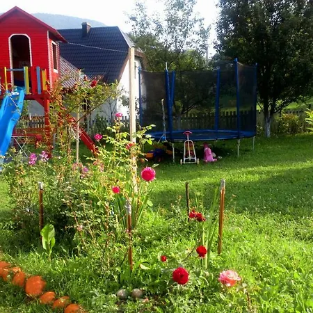 Forest Stream Visoko