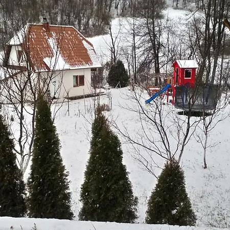 Forest Stream Holiday home Visoko