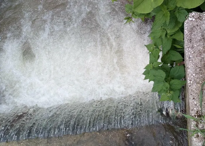 Forest Stream Prázdninový dům *